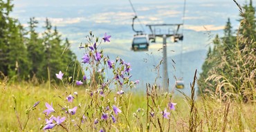 Von Černá hora auf Zvonková cesta nach Janské Lázně 