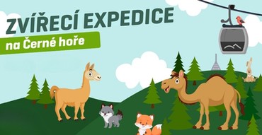 Zvířecí expedice na Černé hoře 