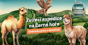 Animal Expedition on Černá hora