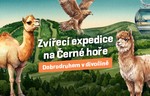 Zvířecí expedice na Černé hoře 