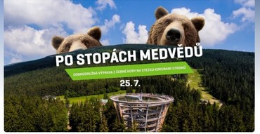Śladami niedźwiedzi