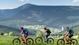 Díky výkonné baterii zvládnou 40 - 50 km za den i ti, kteří na kole nesedí každý den