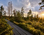 Září ve SkiResortu ČERNÁ HORA - PEC: lanovky, půjčovny i atrakce v podzimním režimu