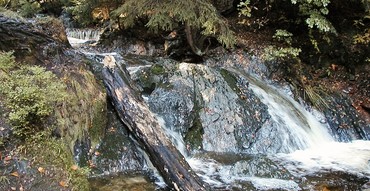 Aus Janské Lázně zu Černohorské Wasserfälle und zurück
